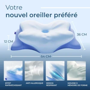 derila ergo oreiller